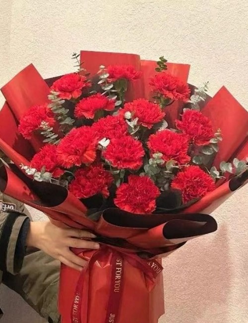  Carnation Bouquets 007