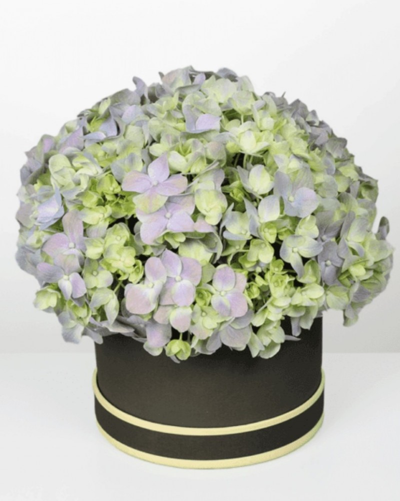 Box Flower 59