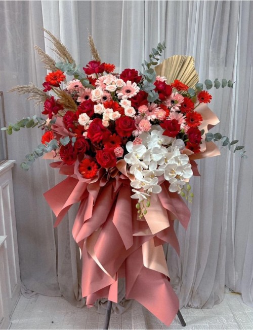 1 Opening Stand Premium