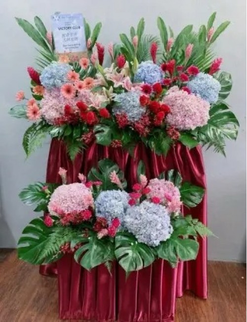 7 Opening Stand Premium