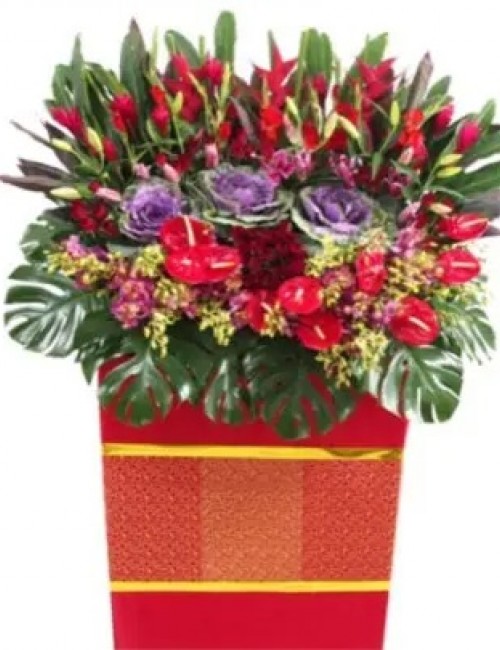 6 Opening Stand Premium