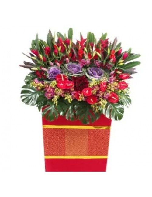 6 Opening Stand Premium