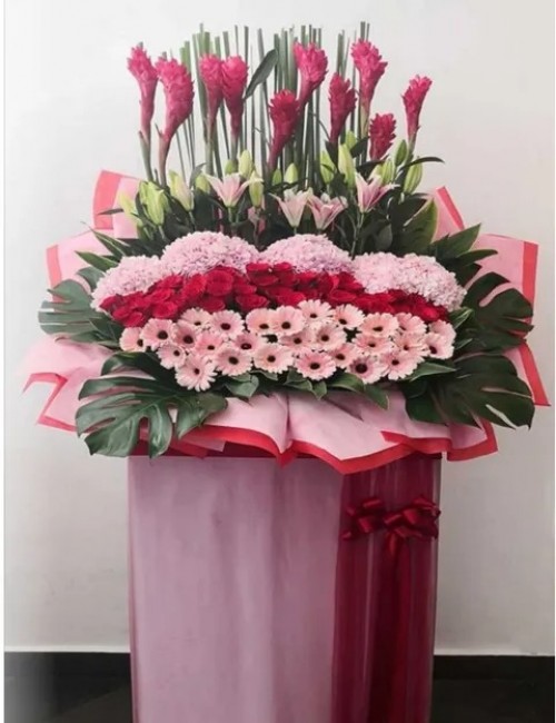 3 Opening Stand Premium