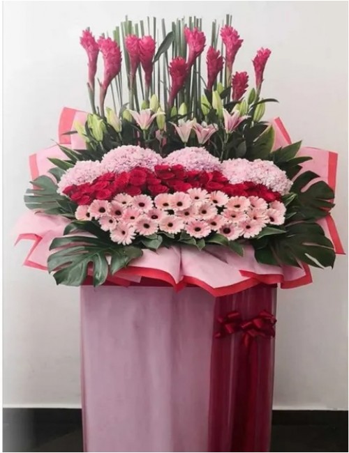 3 Opening Stand Premium