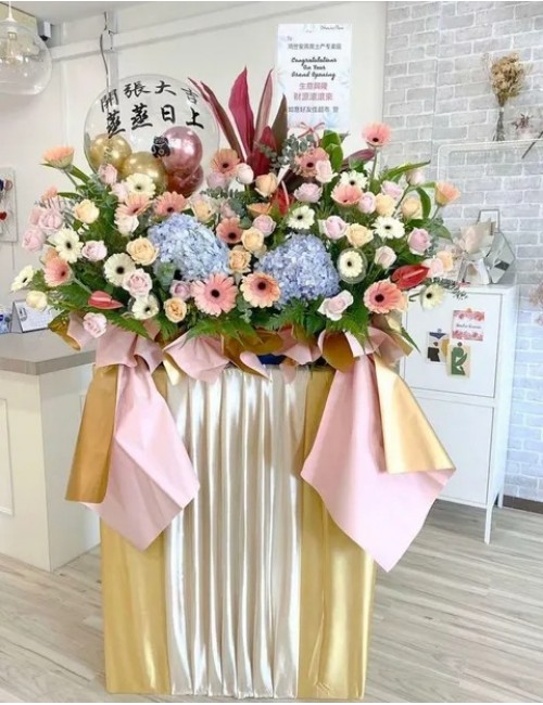 5 Opening Stand Premium