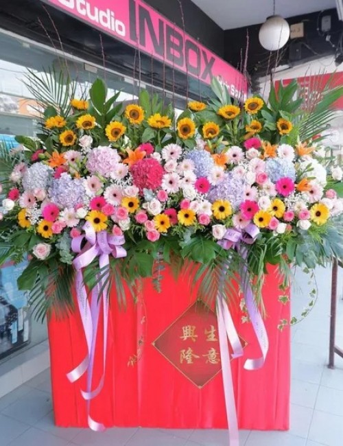 8 Opening Stand Premium