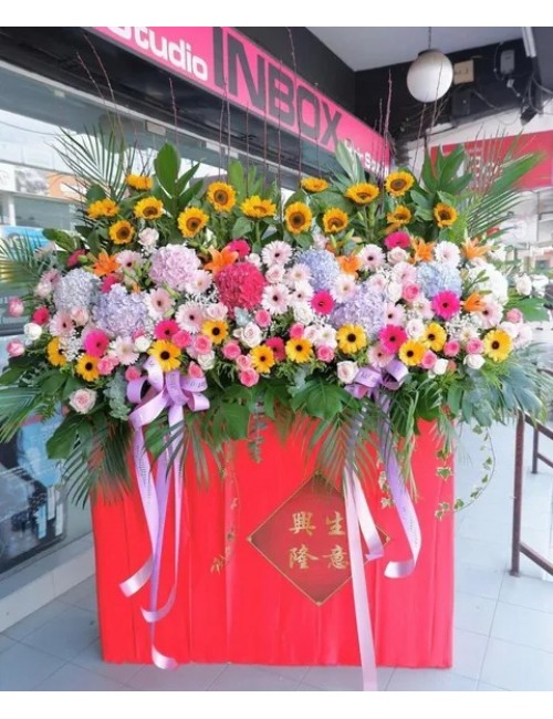 8 Opening Stand Premium