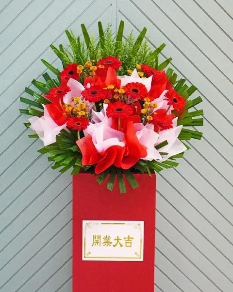 Opening Stand 011